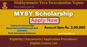 MYSY Scholarship 2023